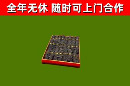 南平市回收海参